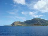 oahu wild dolphin watch